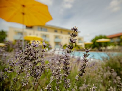 Holiday room Angebots Doppelzimmer ohne Balkon - Outdoor photo 46