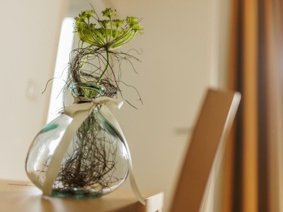 Holiday room Angebots Doppelzimmer ohne Balkon - Outdoor photo 51