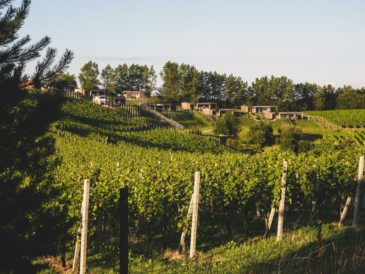 Holiday room WeinHAUS 05 - Outdoor photo 5