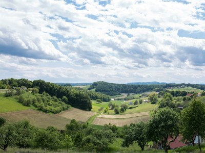 Holiday room WeinHAUS 05 - Outdoor photo 2