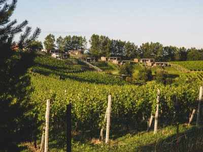 Holiday room WeinHAUS 05 - Outdoor photo 5