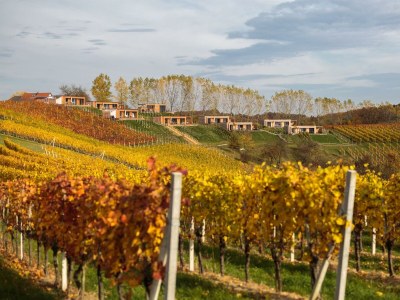 Holiday room WeinHAUS 05 - Outdoor photo 16