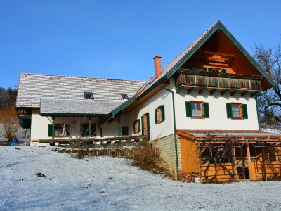 Apartment Sunnseitn in Feldbach - Apartment
