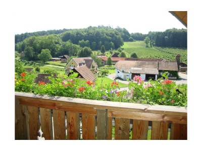 Apartment Sunnseitn - Outdoor photo 4