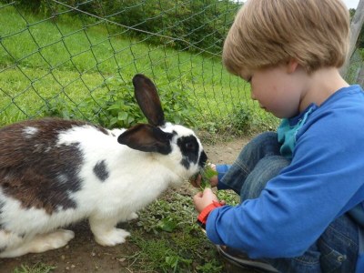 Apartment Sunnseitn - Outdoor photo 6