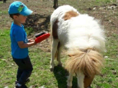 Apartment Sunnseitn - Outdoor photo 15