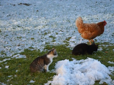 Apartment Sunnseitn - Outdoor photo 38