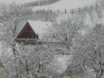 Apartment Sunnseitn - Outdoor photo 39