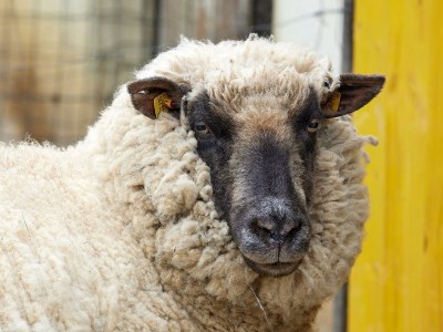 Apartment Sunnseitn - Outdoor photo 43