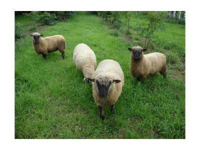 Apartment Sunnseitn - Outdoor photo 46