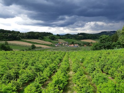 Apartment Sunnseitn - Outdoor photo 48