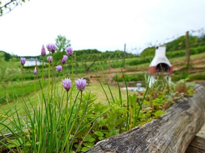 Apartment Sunnseitn - Outdoor photo 55