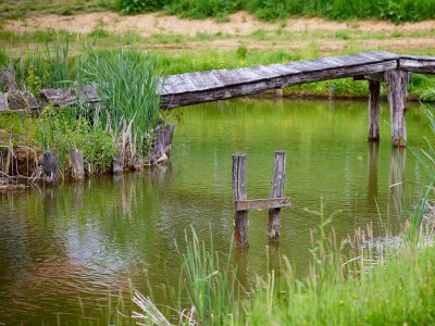 Apartment Sunnseitn - Outdoor photo 56