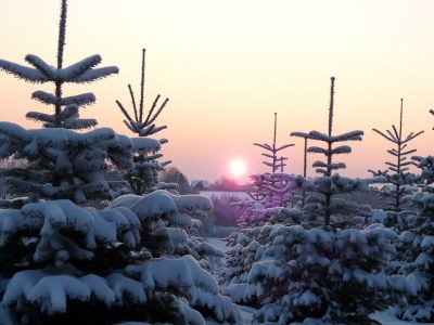 Apartment Sunnseitn - Outdoor photo 61