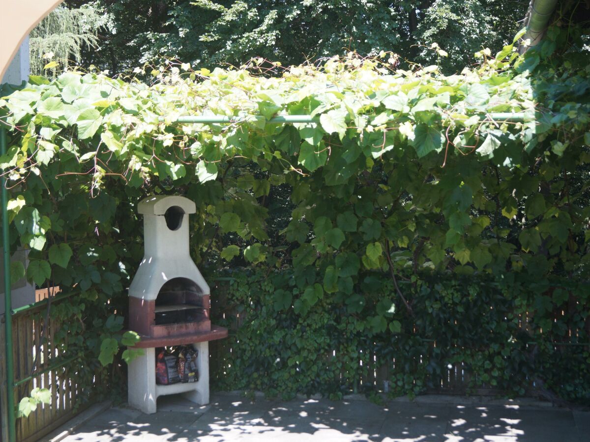 Apartment Ferienhaus Bauernhof "Kochwagner" - Outdoor photo 3