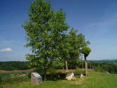 Apartment Ferienhaus Bauernhof "Kochwagner" - Outdoor photo 19