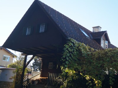 Apartment Ferienhaus Bauernhof "Kochwagner" - Features photo 36