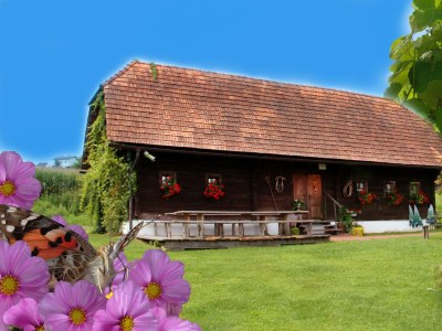 Apartment Ferienhaus Mario Barth - Outdoor photo 20