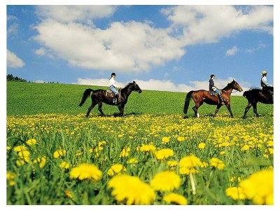 Apartment Ferienhaus Mario Barth - Outdoor photo 47
