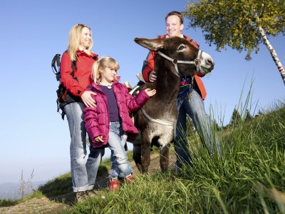 Apartment Ferienhaus Mario Barth - Outdoor photo 55