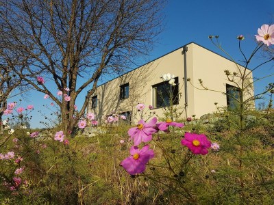 Apartment Ferienhaus, 2 Bäder, 2 WCs, Sauna, ruhig - Outdoor photo 7