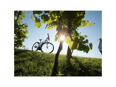 Apartment Wohfühl-Appartement - 1 Nacht - Outdoor photo 3