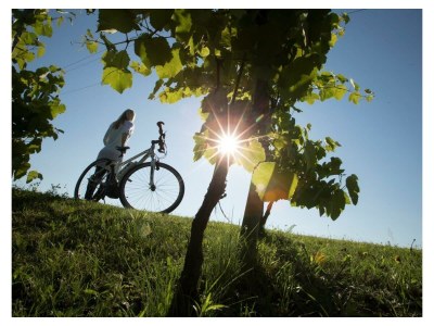 Apartment Wohfühl-Appartement - 1 Nacht - Outdoor photo 14