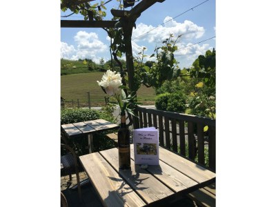 Apartment Appartement in Bad Loipersdorf - Apartment