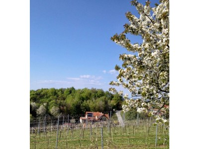 Apartment Appartement - Outdoor photo 5