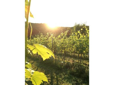 Apartment Appartement - Outdoor photo 6