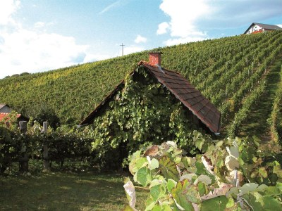 Apartment Ferienwohnung OG mit 1 Schlafraum - Outdoor photo 10