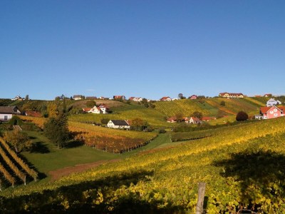 Apartment Ferienwohnung OG mit 1 Schlafraum - Outdoor photo 11