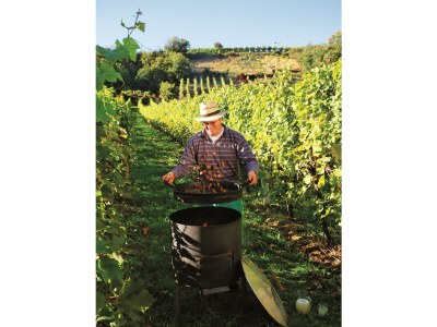 Apartment Ferienwohnung OG mit 1 Schlafraum - Outdoor photo 12