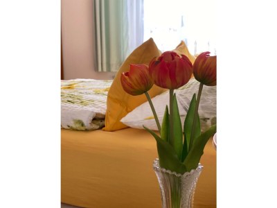 Apartment Wohnung "Weißburgunder" - Features photo 57