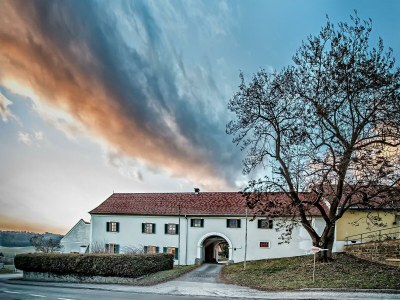 Apartment Wohnung 2 in Riegersburg - Apartment