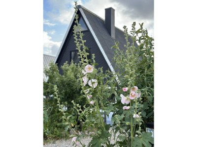 Holiday house Anna Schlei - Outdoor photo 4
