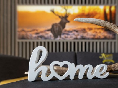 Apartment Alpenlodge Top 1 - Features photo 37