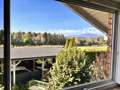 Holiday apartment HÃ¤uschen an der Drau byTILLY - Features photo 26