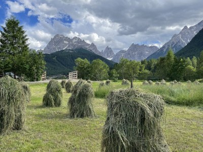 Holiday apartment Residence Summerer in the area - Environment photo 14