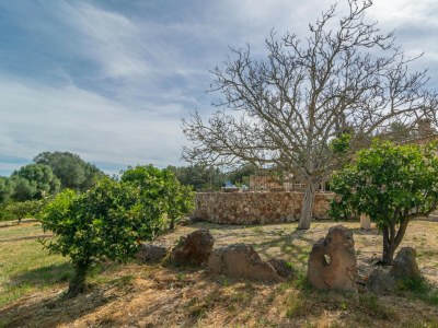 Villa SON BARRIGO - Environment photo 31