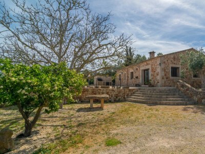 Villa SON BARRIGO - Environment photo 32