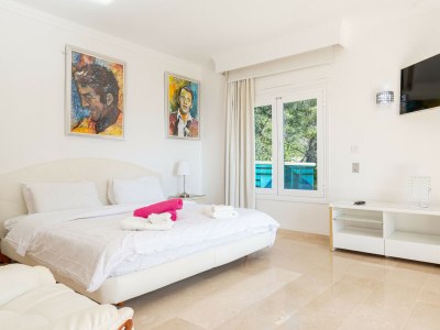 Villa VILLA OCEAN VIEW - Features photo 42