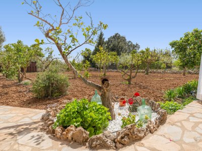 Holiday house SA CASETA (BÚGER) - Outdoor photo 18