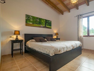 Apartment SA CASETA D'EN TRONCA - Features photo 22