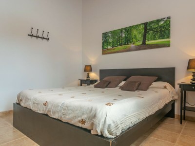 Apartment SA CASETA D'EN TRONCA - Features photo 23