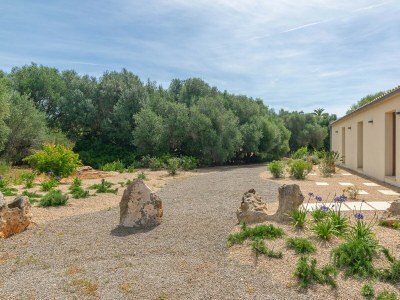 Villa CAN MAIMÓ NOU - Environment photo 39