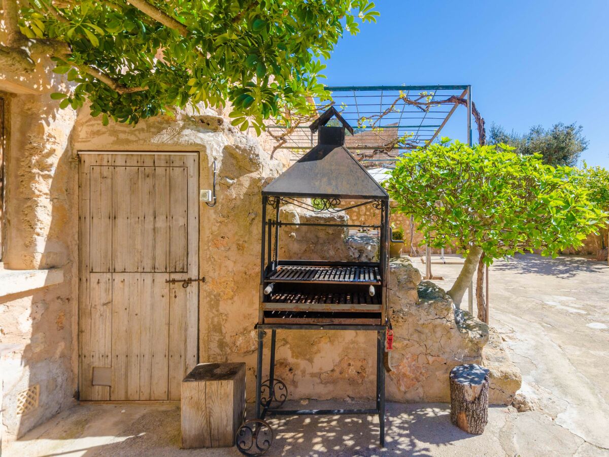 Apartment FINCA CAN MARIA COSTITX - Outdoor photo 4