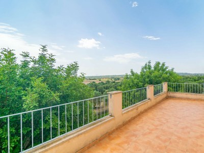 Finca FINCA SON PUÇA - Features photo 46