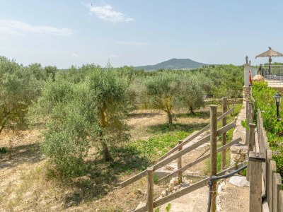Finca FINCA SON PUÇA - Environment photo 52