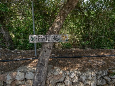 Finca FINCA SON PUÇA - Environment photo 53